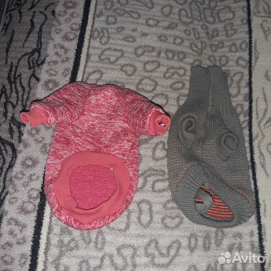 Одежда для собак мелких пород