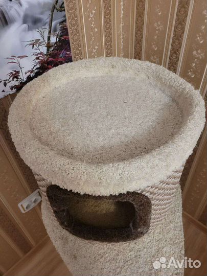 Кошачий домик