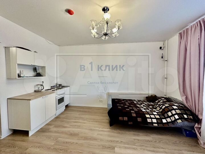 1-к. квартира, 22 м², 7/17 эт.