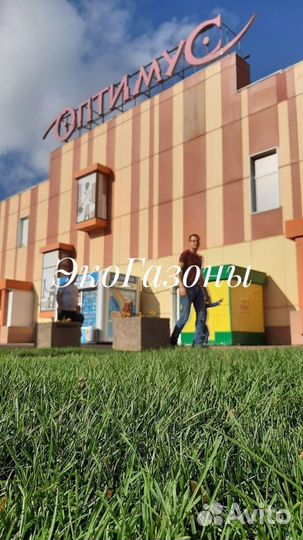 Рулонный газон экогазоны