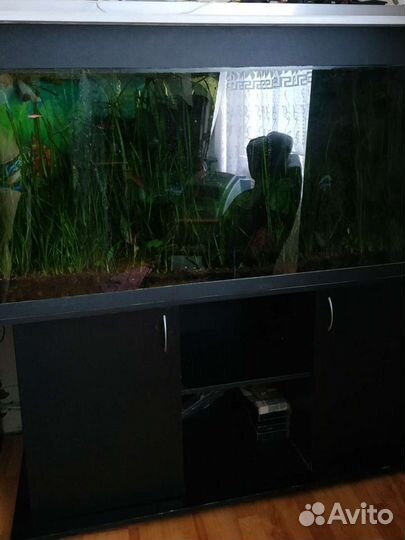 Аквариум на 500 литров