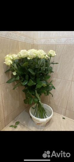 Цветы розы и букеты с доставкой