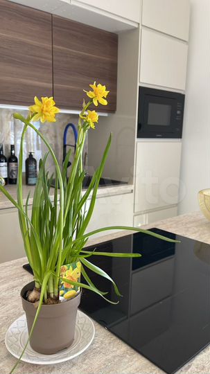 Дом 120 м² на участке 10 сот.