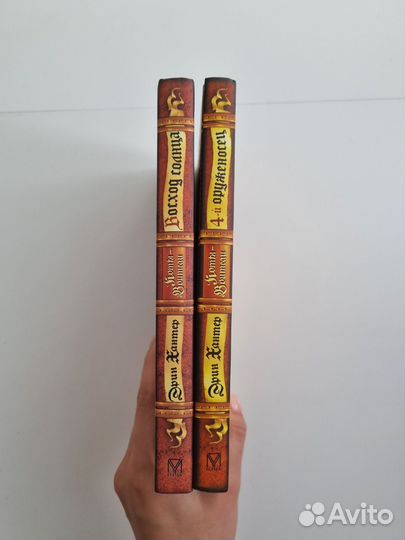 Коты воители. Четвёртый оруженосец. Восход солнца