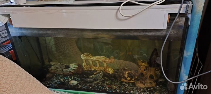 Аквариум с тумбой 200литров
