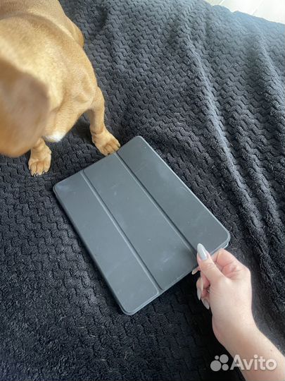 Apple iPad 10.2 2021, 64 гб, Wi-Fi + Cellular