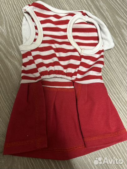 Одежда для животных