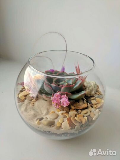 Флорариум шар-мини