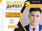 Настройка Яндекс Директ, Директолог
