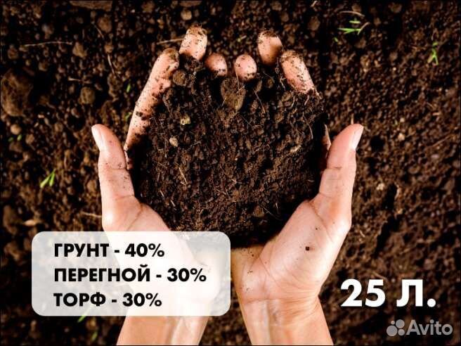 Перегной 30%, почва 40%, низинный торф 30% - смесь