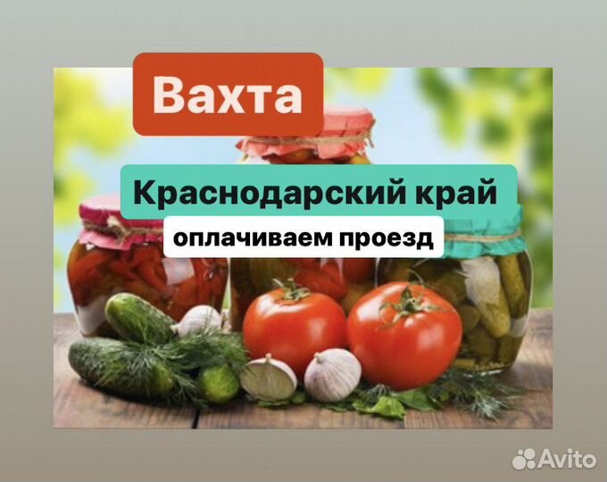 Консервный завод в Новоминской Разнорабочий