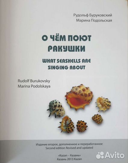 О чём поют ракушки