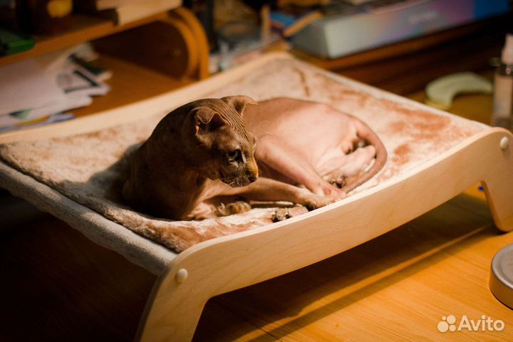 Лежанка для кошек и собак