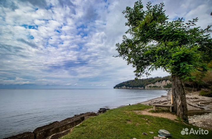 Отдых Абхазия кемп. на 8 нч перел.+прожив