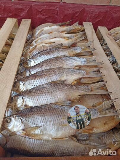 Икряная Гигантская Тарань