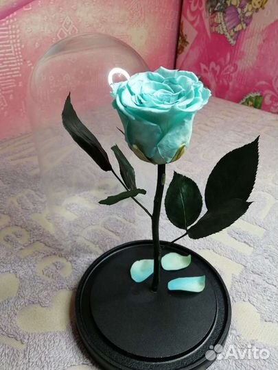 Роза в колбе, Вечная роза