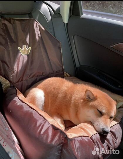 Автогамак для собак