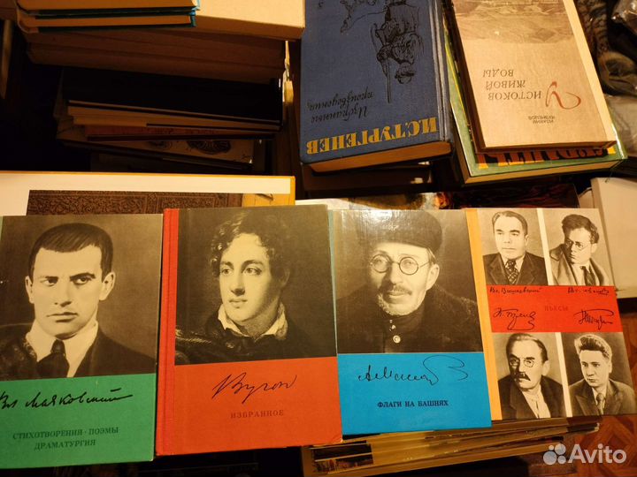 Жзл, Русская классика, школьная библиотека