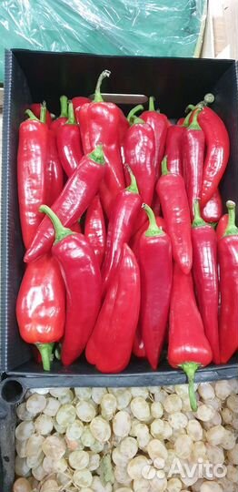 Перец сладкий очень вкусный бесплатная доставка