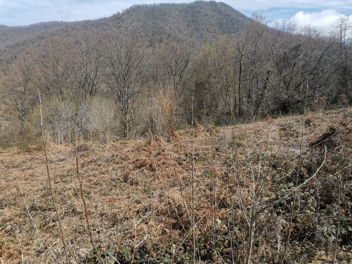 Участок 10,6 сот. (ИЖС)