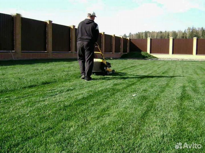 Укладка газона