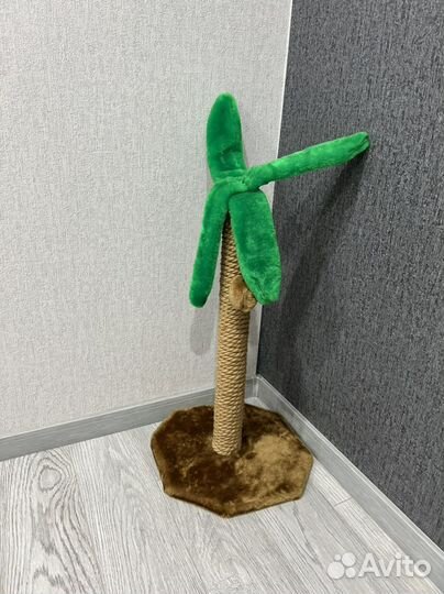 Когтеточка