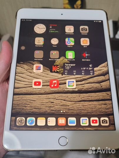 iPad mini 4 a1538