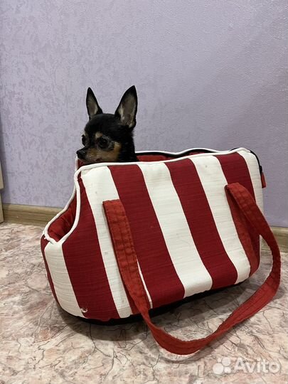 Переноска для собак