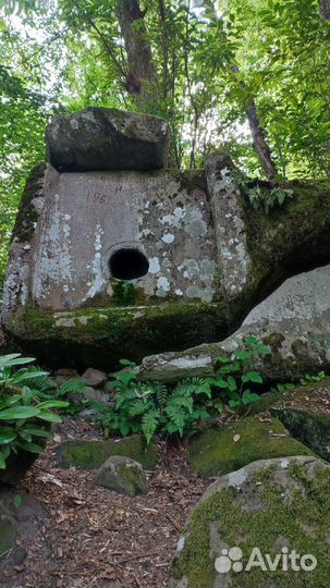 Семейные походы с детьми и без в Мостовском районе