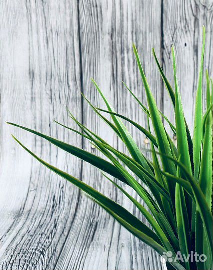 Искусственная трава осока новая 1 шт