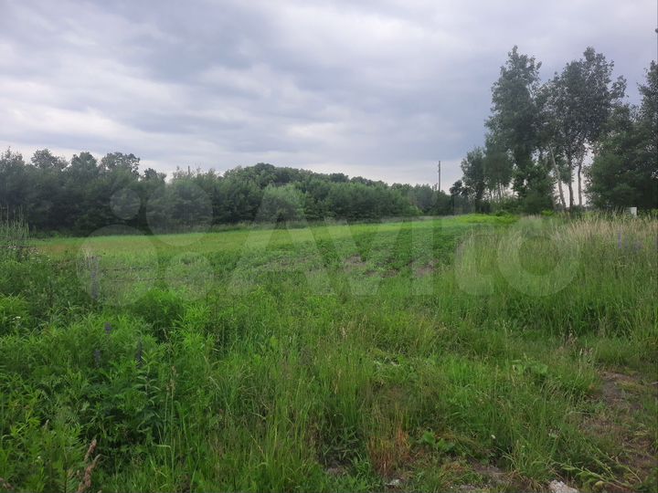 Участок 35 сот. (ИЖС)