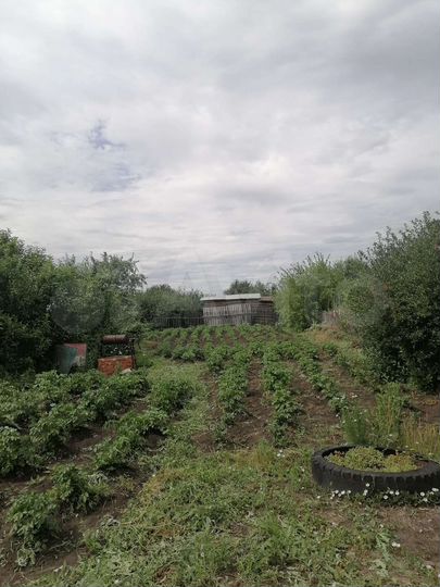 Дача 10 м² на участке 8 га