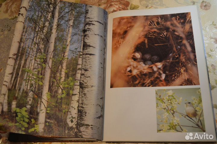 Книга-фотоальбом 