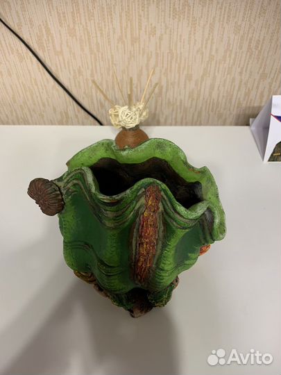 Аквариумные водоросли