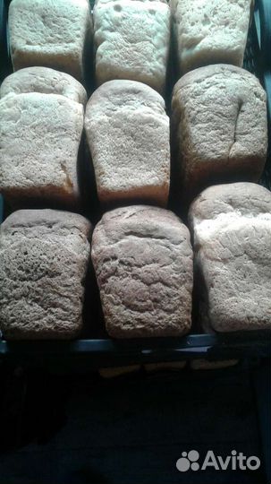 Хлеб на корм