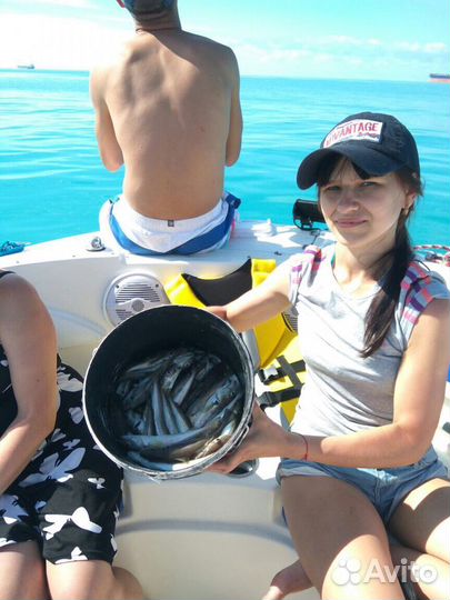 Морские прогулки