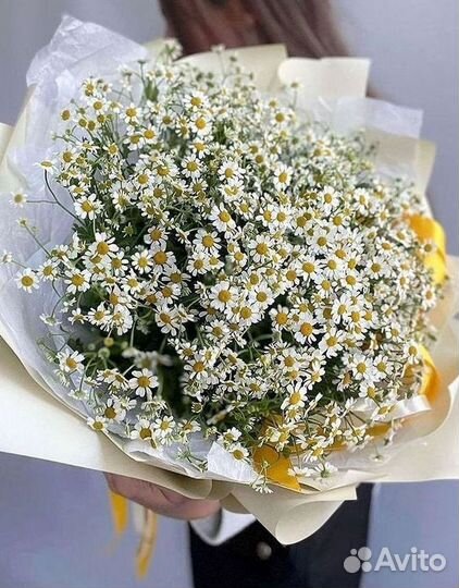 Ромашки букет