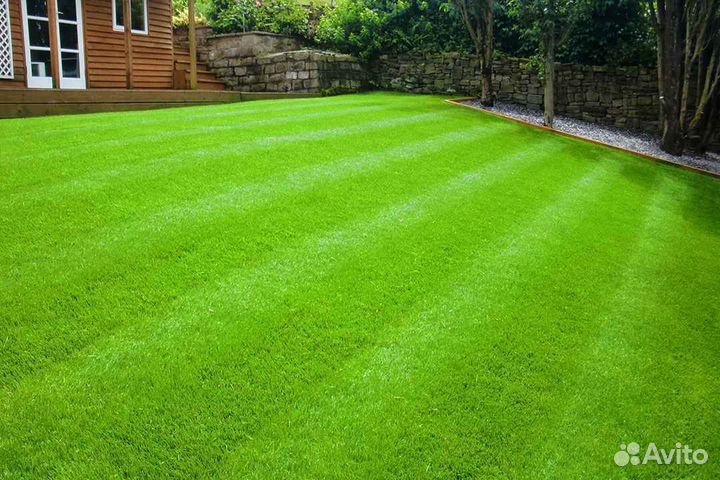 Укладка и продажа газона