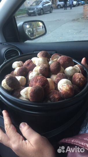 Икра грибная, грибы маринованные