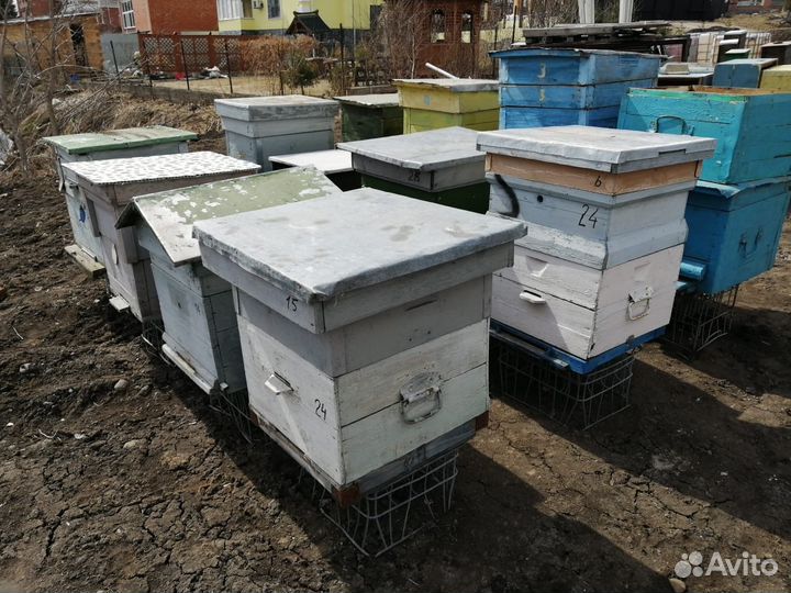 Улья, подставки для ульев