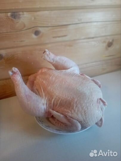 Куры бройлеры тушки мясо