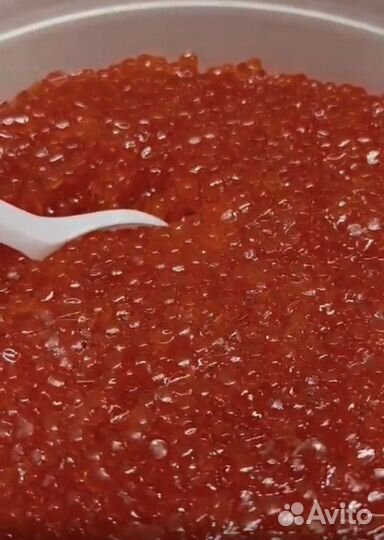 Красная икра форели (розница)