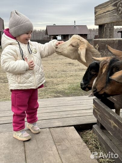 Куртка демисезонная для девочки