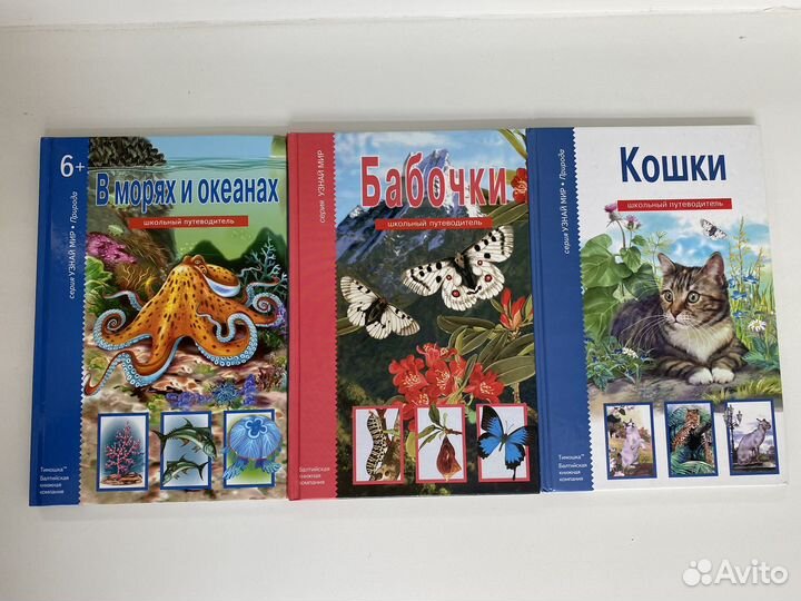 Сказки, Королевство кривых зеркал, Winx, Винкс