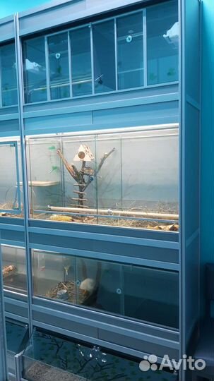 Стеллаж стойка для животных и птиц