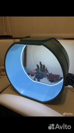 Аквариум немо дисней