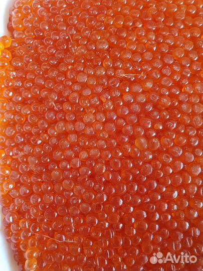 Икра,красная рыба соленая