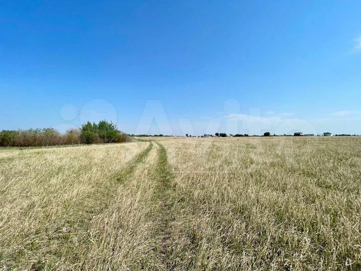 Участок 6,3 сот. (СНТ, ДНП)