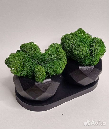 Декор со стабилизированным мхом