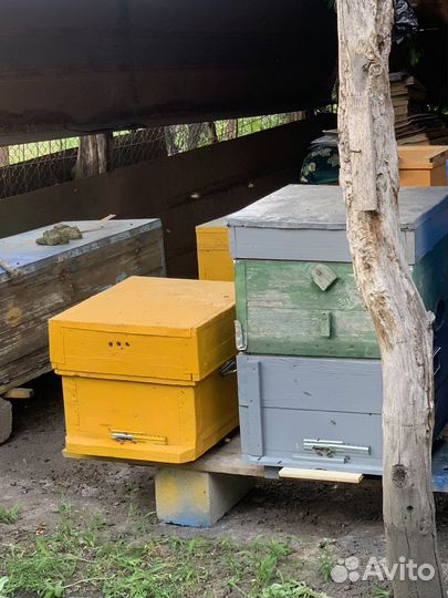 Улей для пчел